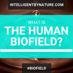 What is the Human Biofield?