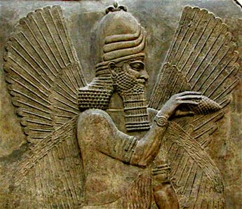 pine cone pineal gland
