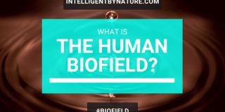 biofield definition