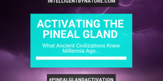 activating-the-pineal-gland